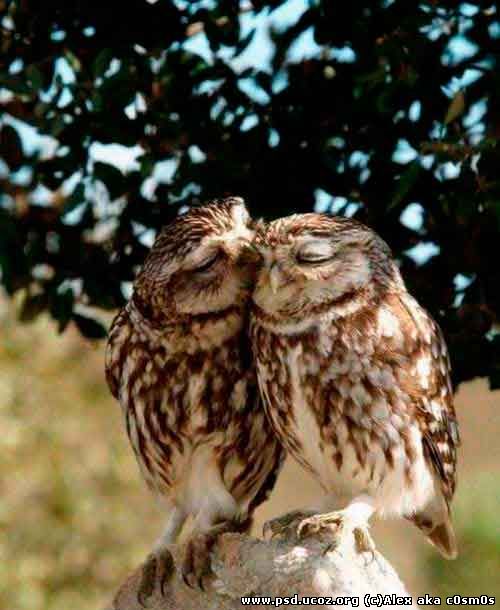 Будьте нежными