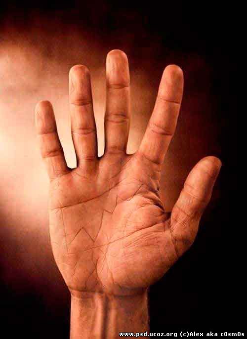 Пусть ваши ставки растут