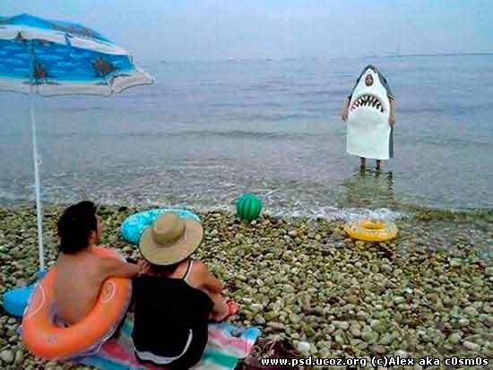 А самая страшная акула будет такой...